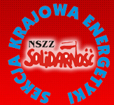 Sekcja Krajowa Energetyki